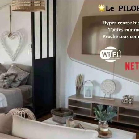 Le Pilori - Centre Historique, En Face Du Musee Du Pilori, A 2Mn A Pied De L'Hyper Centre Et Proche Toutes Commodites, Wifi-Netflix Niort Exterior photo