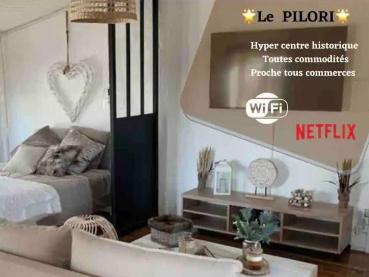 Le Pilori - Centre Historique, En Face Du Musee Du Pilori, A 2Mn A Pied De L'Hyper Centre Et Proche Toutes Commodites, Wifi-Netflix Niort Exterior photo